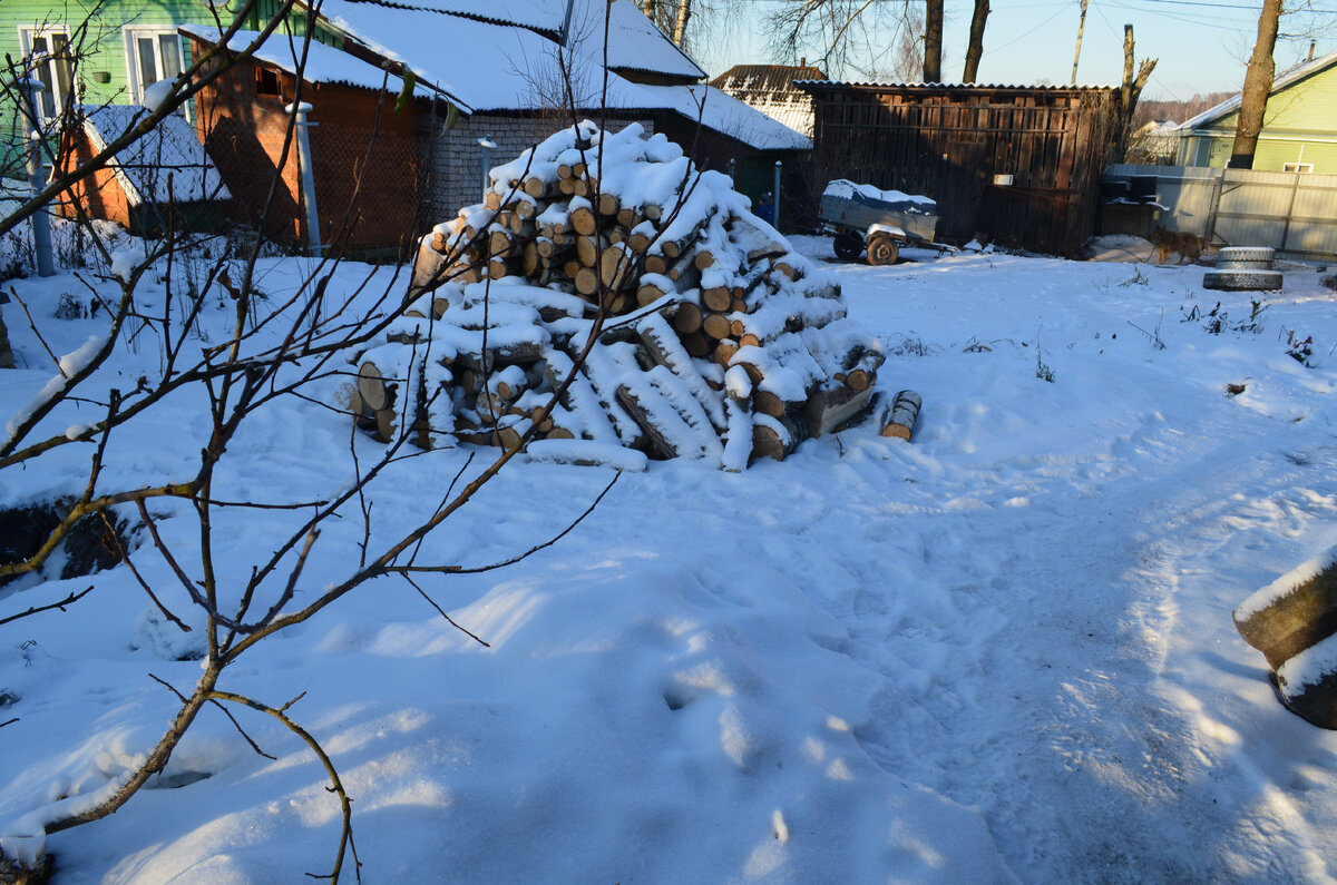 Зима в Новгородской области