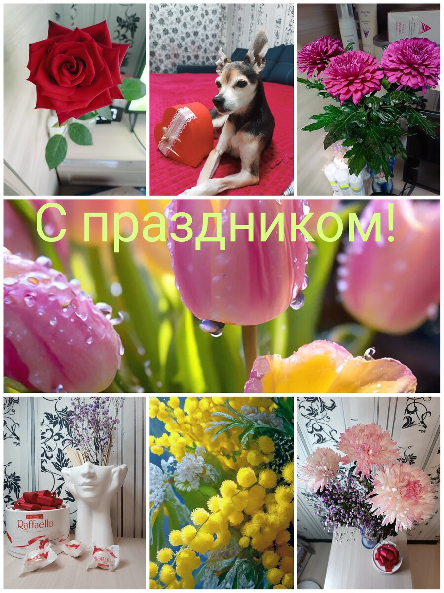 Коллаж автора канала