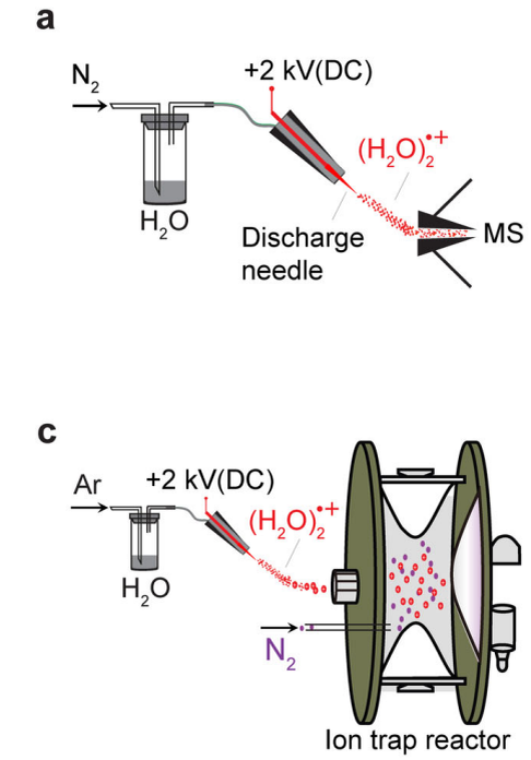   Xiaoping Zhang et al. / Nature Communications, 2024