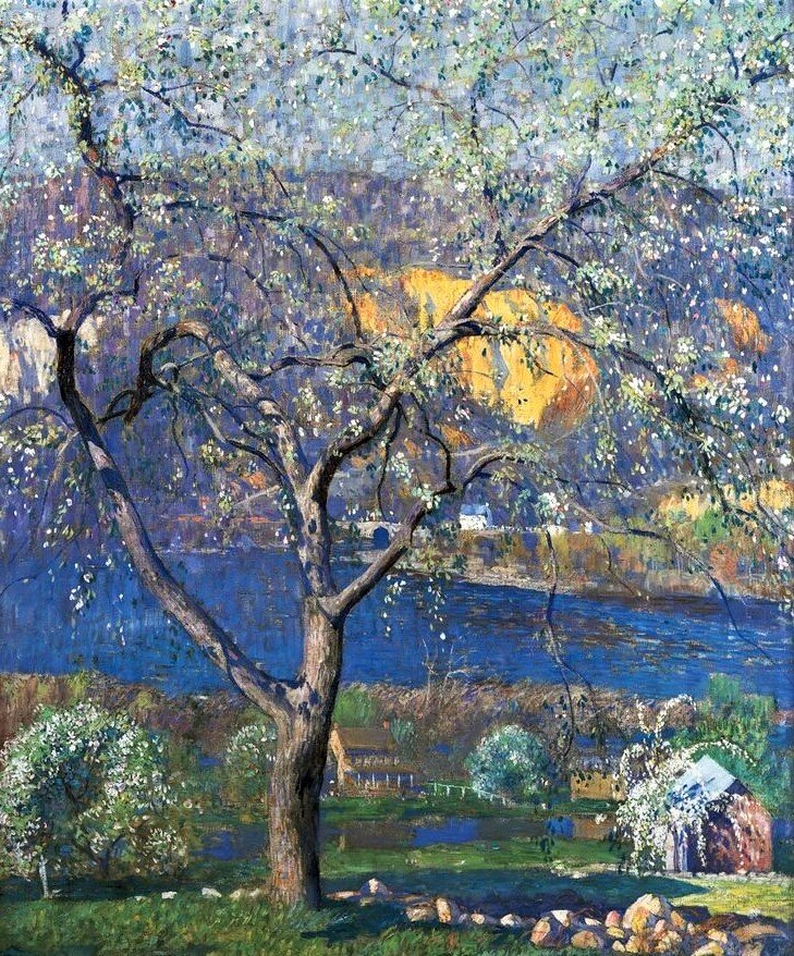 Цветущие деревья. Художник Дэниел Гарбер