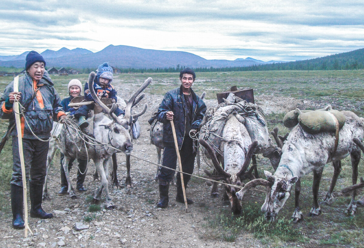 Оленные чукоты