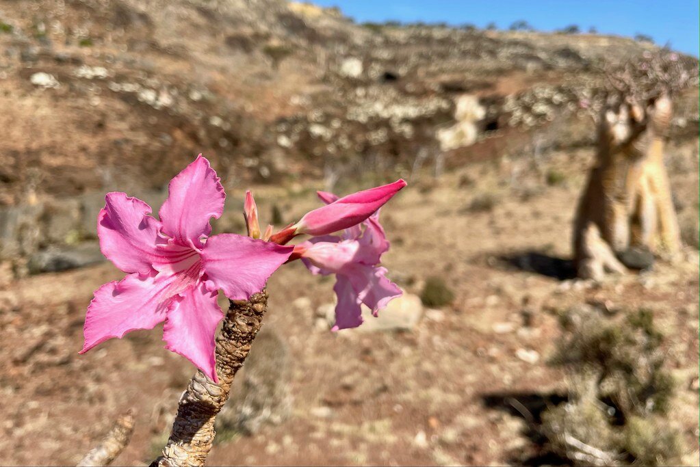 Гараж из коробки для машинок. Большие делают маленьких. Большие делают маленьких. Покажи самый маленький ребёнок. Маленькие детки маленькие бедки большие.