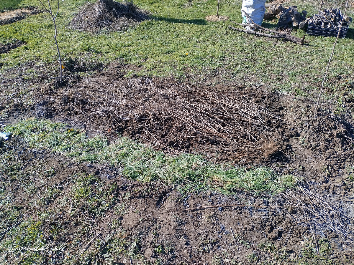 Ветров грядки. Декоративный огород. Ветров грядки. Ветров грядки. Ограждение от собак на участке.