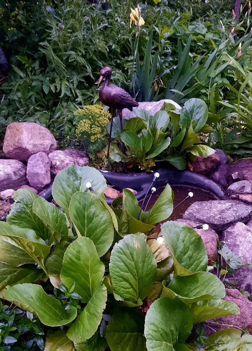 Фото автора.