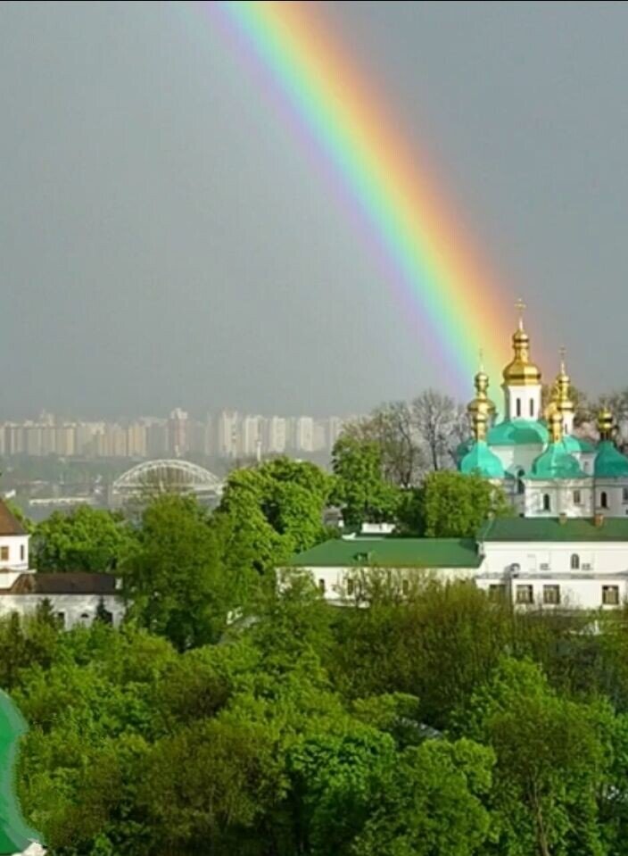 Изображение из интернета