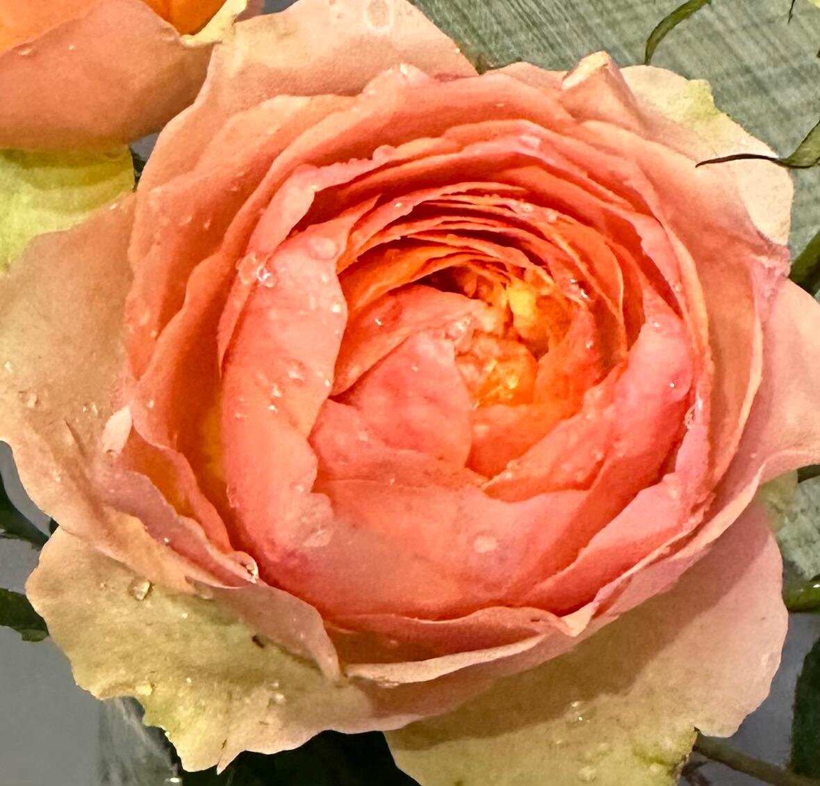 От одной улыбки. Стих. | Стихи Поэта | Дзен