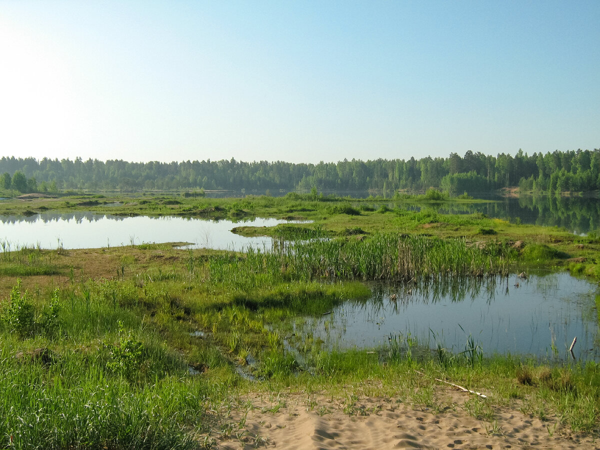 Местами по краям там вот такие болотца. Но в целом карьер в виде блюдца