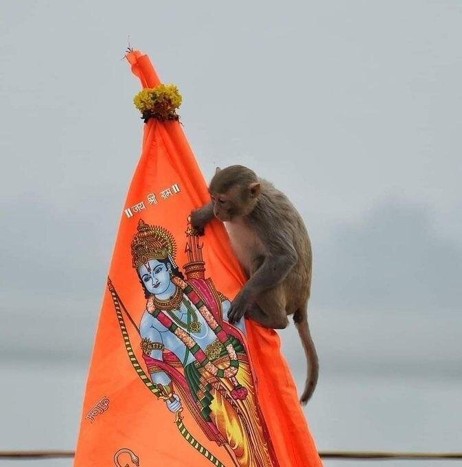 Фото: indiatimes.com 
