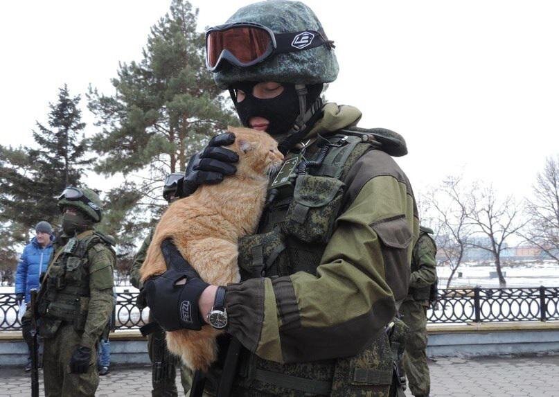 Картинка из открытых источников.