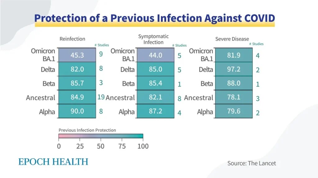 Рисунок 1. Результаты более 50 исследований показывают, насколько эффективна предыдущая инфекция против COVID. (The Epoch Times)