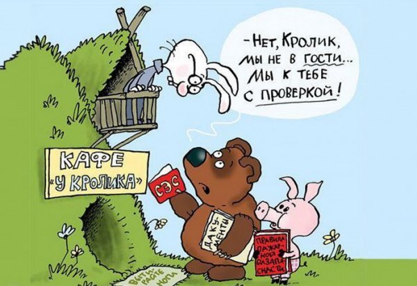 Картинка из открытых источников "Винни пух и СЭС "