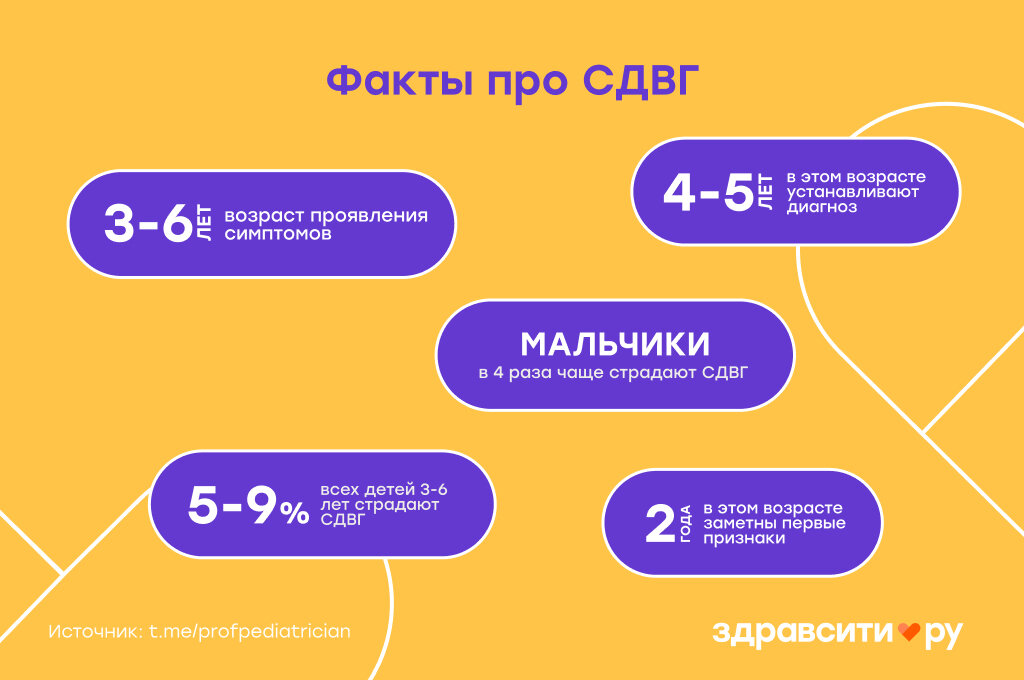 Факты про СДВГ | Здравсити | Дзен