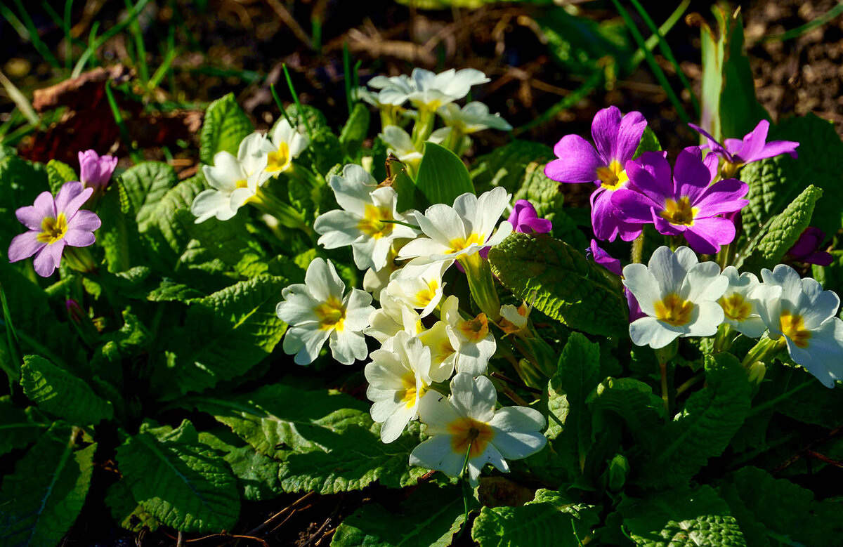 2 2 6 сад. Конаково, конаково. Алтайской горно алтайск. 2 2 6 сад. Новаторов детский сад семицветик.