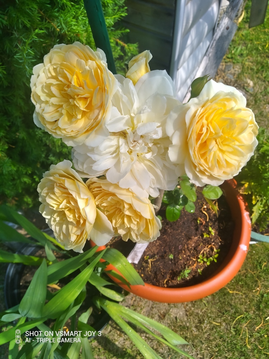 фото Ольги