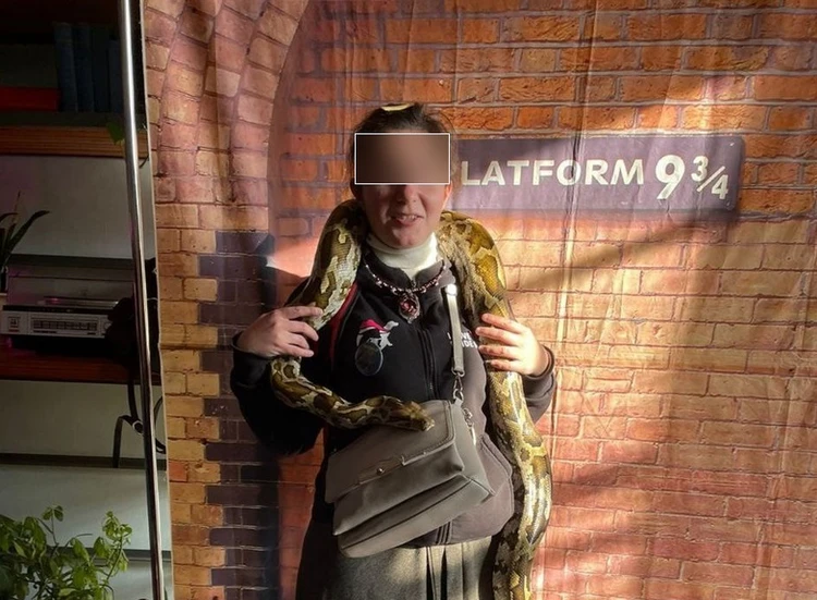 Листайте вправо, чтобы увидеть больше изображений