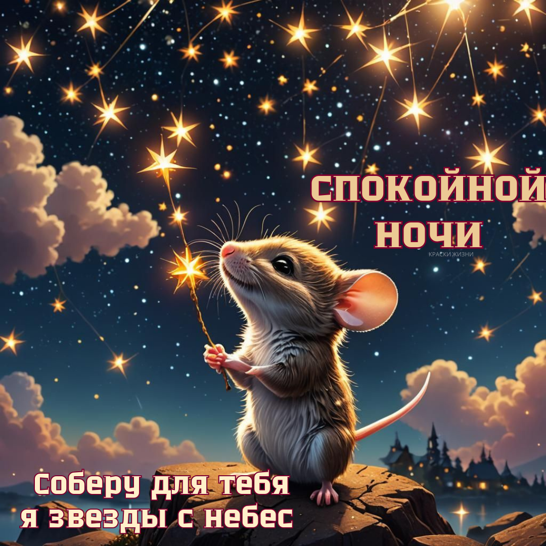 Спокойного сна 💤 в г | Веселые картинки, Счастливые картинки, Спокойной ночи