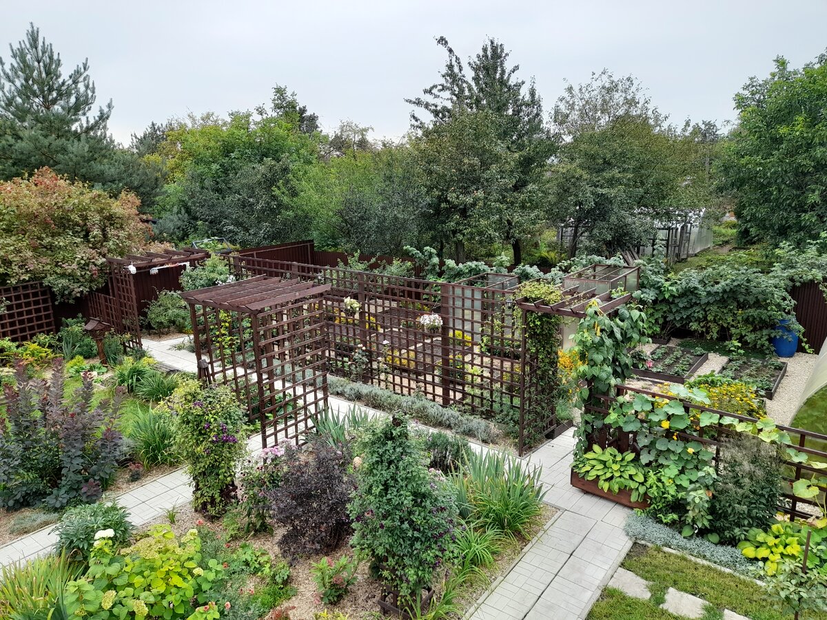 Огород с высоты второго этажа