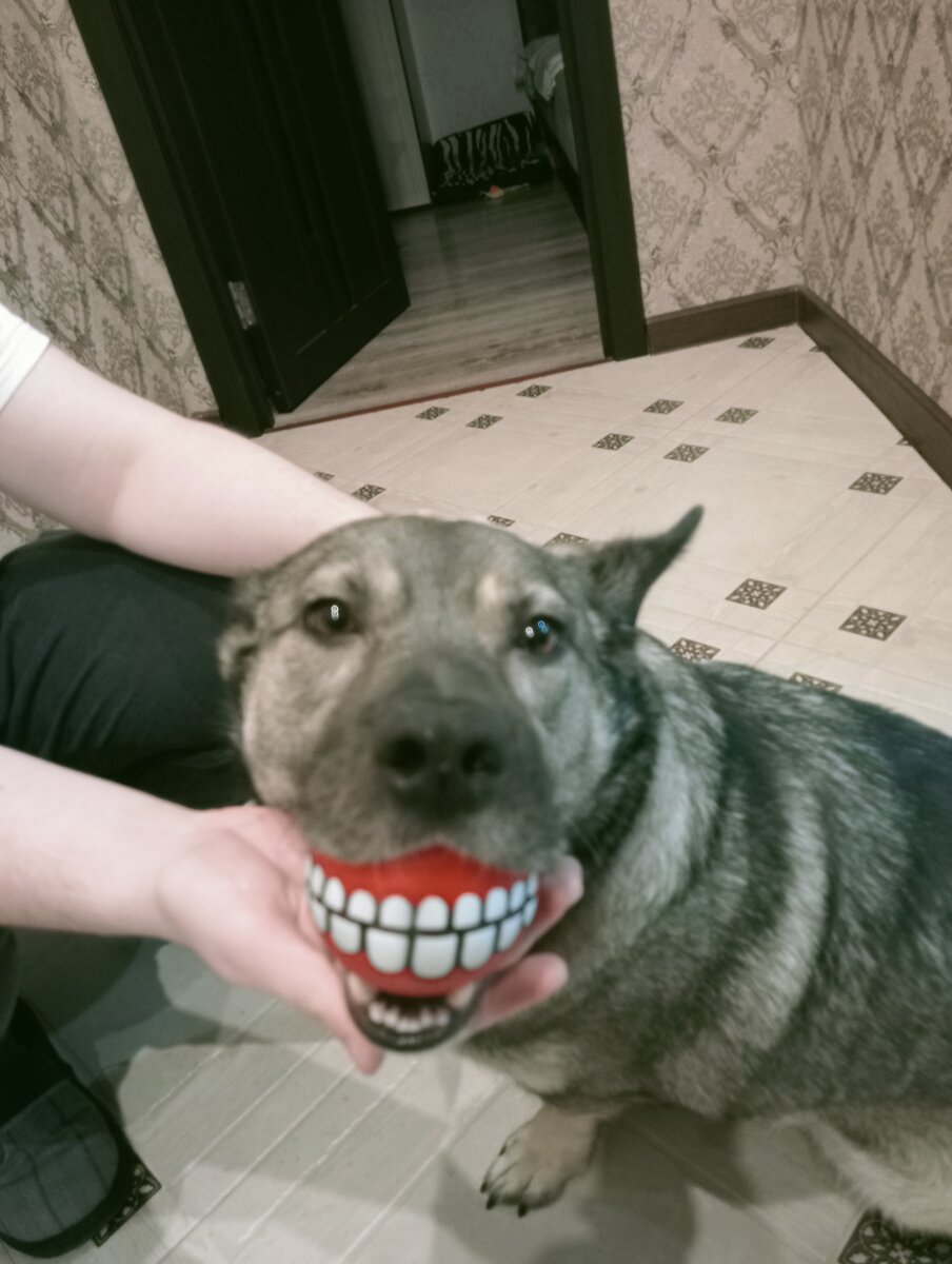 Фото- собственность канала