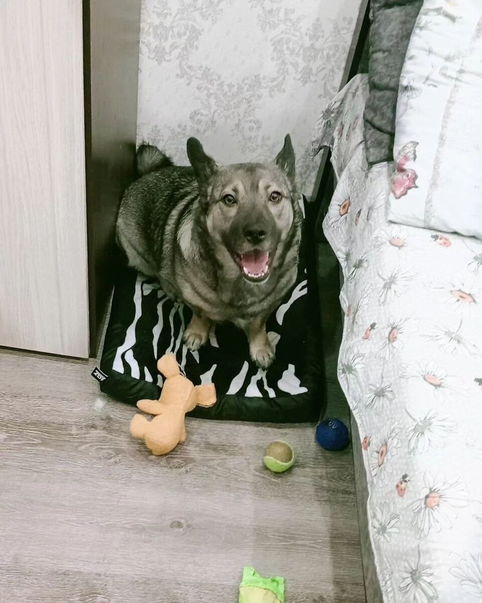 Фото- собственность канала