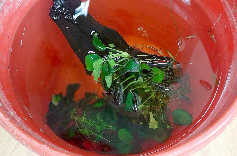 Жизнь мужчины. Фразы о прожитой жизни. Жизнь вся жизнь понемногу. Жизнь вся жизнь понемногу. Всю жизнь вместе.