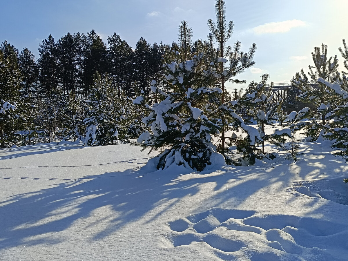 Фото автора статьи. 