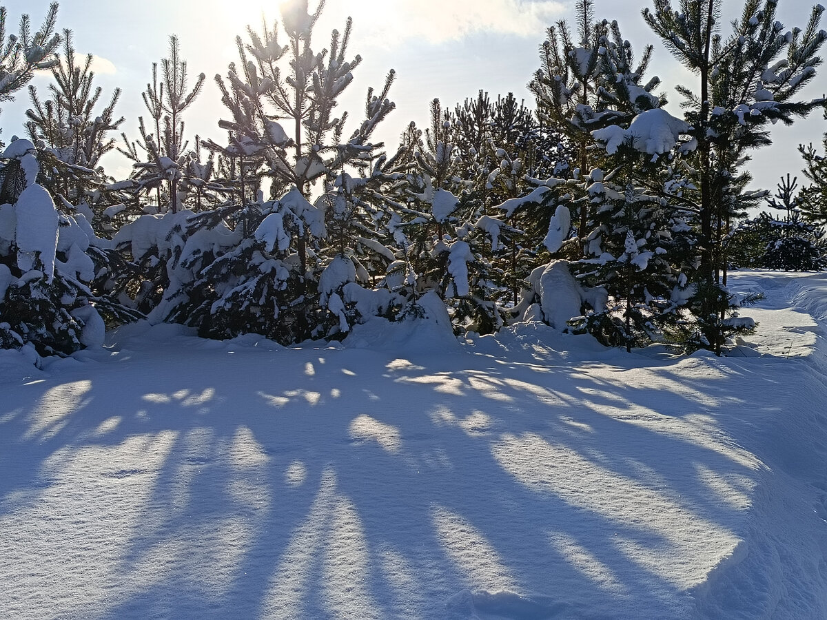 Фото автора статьи. 