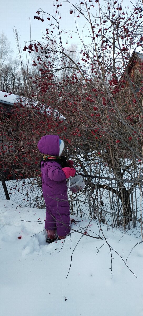Дочка очень любит калину. Беее. С детства её терпеть не могу. А теперь распробовала.))