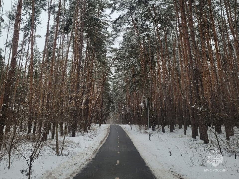 Фото из интернета