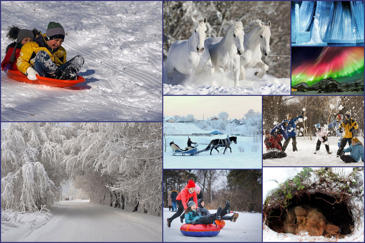 Коллаж автора