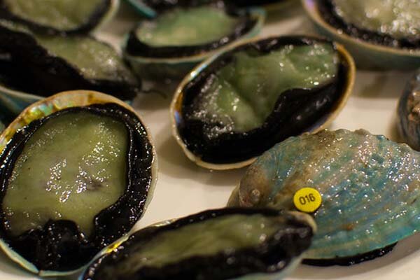 Пауа. Фото: Yann