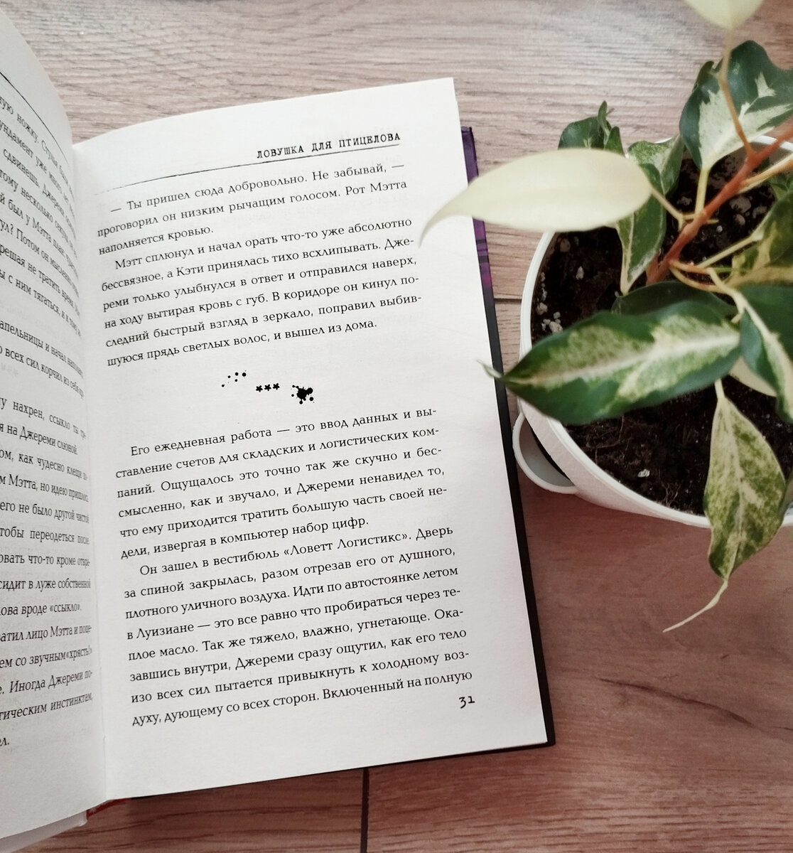 Фото сделаны лично, ранее публиковались на стороннем ресурсе