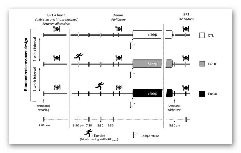 Рисунок 1. Группы участников и протоколы тренировок и сна