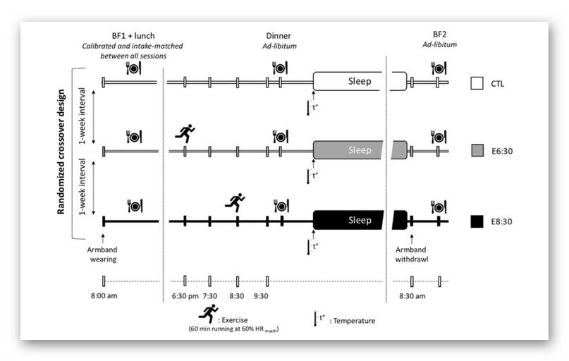 Рисунок 1. Группы участников и протоколы тренировок и сна