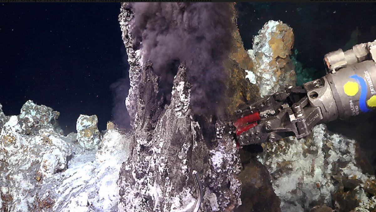 Робот берет образец породы из гидротермального источника на глубине 2500 метров. Фото: Океанический институт им. Шмидта. Источник: https://www.grozny-inform.ru/