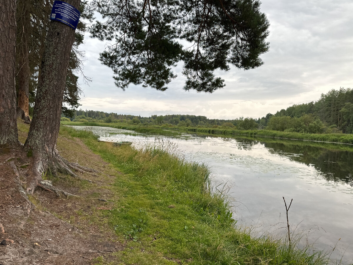 Вырицы. Август 2023.