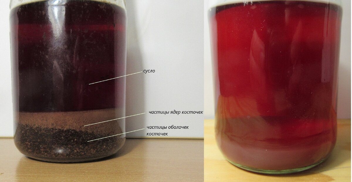 Слева - емкость с суслом, где осадок порошка косточек разделился на две фракции. Справа - сусло, где в осадке только ядра косточек