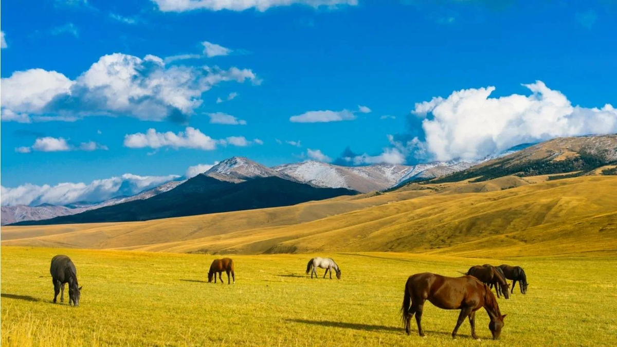 Фото из открытых источников Яндекс.Картинки