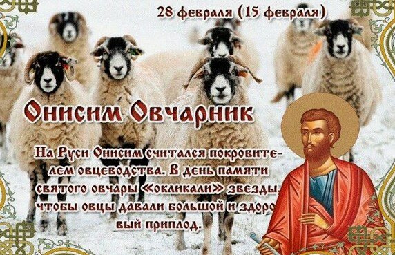 Фото из открытого источника