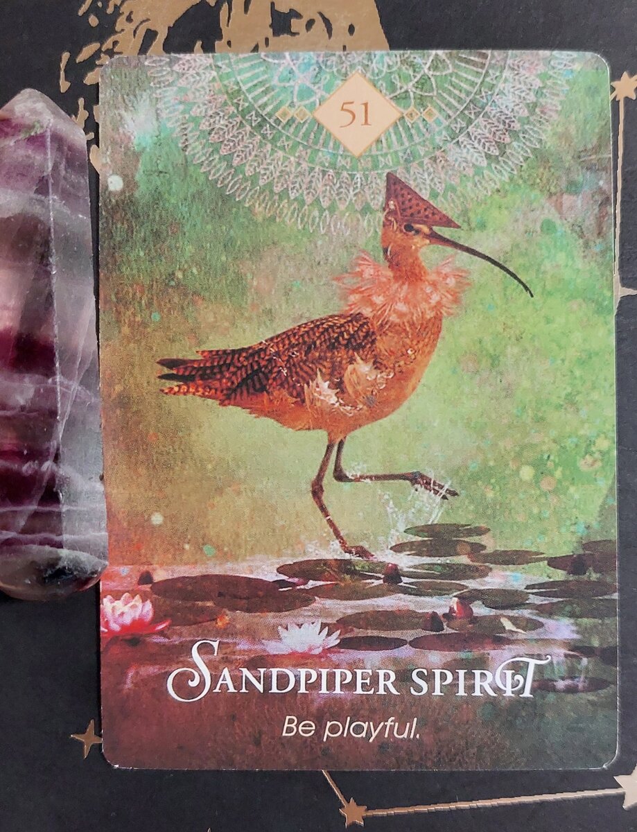 Колода: "The Spirit Animal Oracle" by Colette Baron-Reid