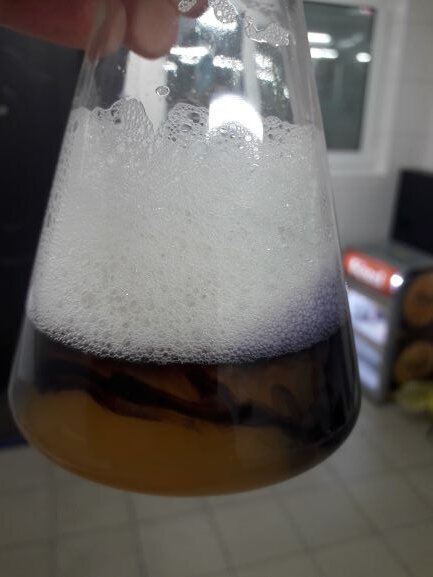 при нарушении технологии изготовления пива, готовое пиво дает ярко выраженную реакцию на йод, пиво синеет.