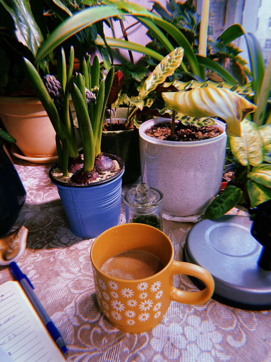 Кусочек рабочего стола и утренний кофе 🌼