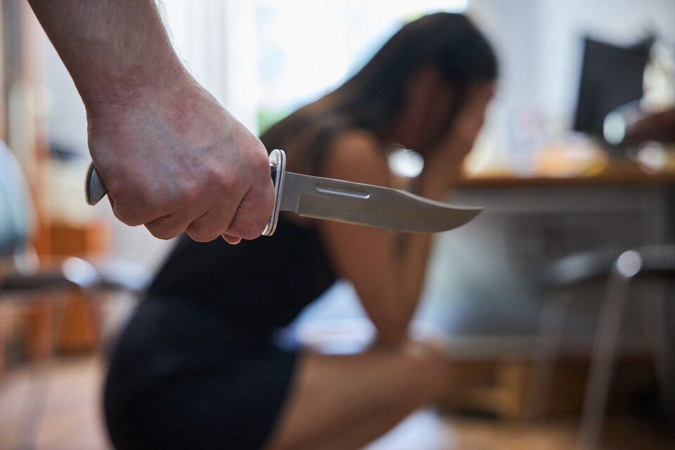 Как достать соседа вуди. Жесткий сосед. Игрушки привет сосед. Жесткий сосед. Костюм привет сосед.