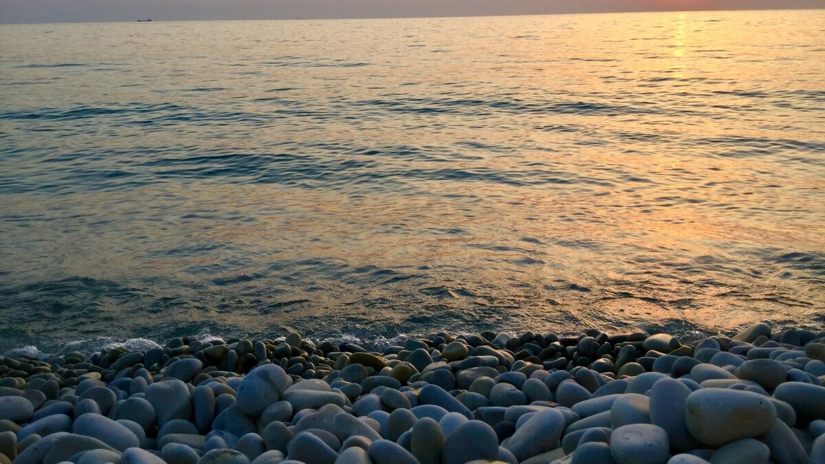     С любовью из Дальневосточного морского заповедника: специалисты в области природоохраны рассказали жителям Приморья, кто из морских млекопитающих готовится к рождению малышей, и как в живой природе проходит этот период.