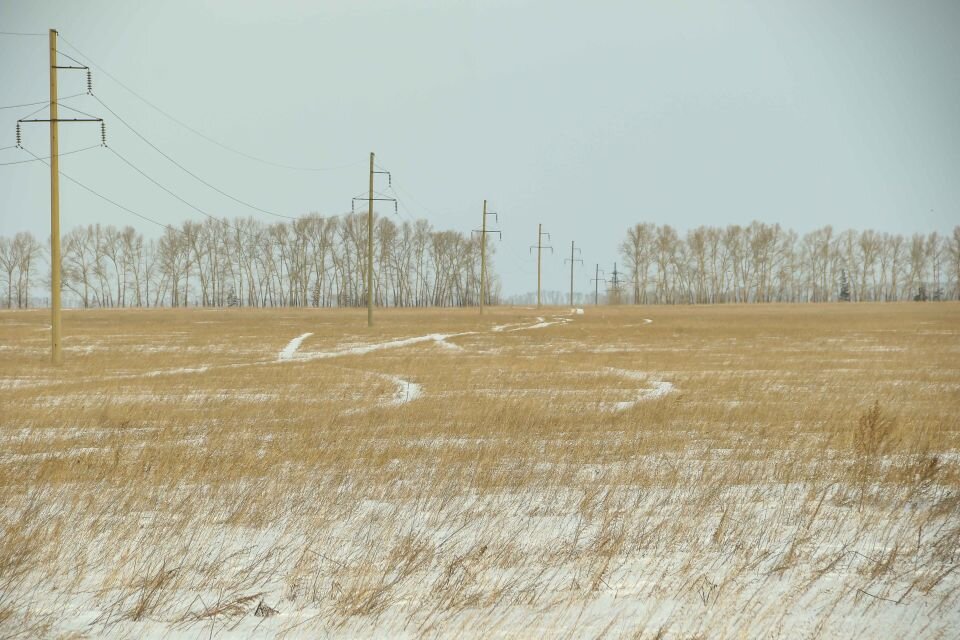Большая территория под застройку нового квартала Фото: Виталий Барабаш