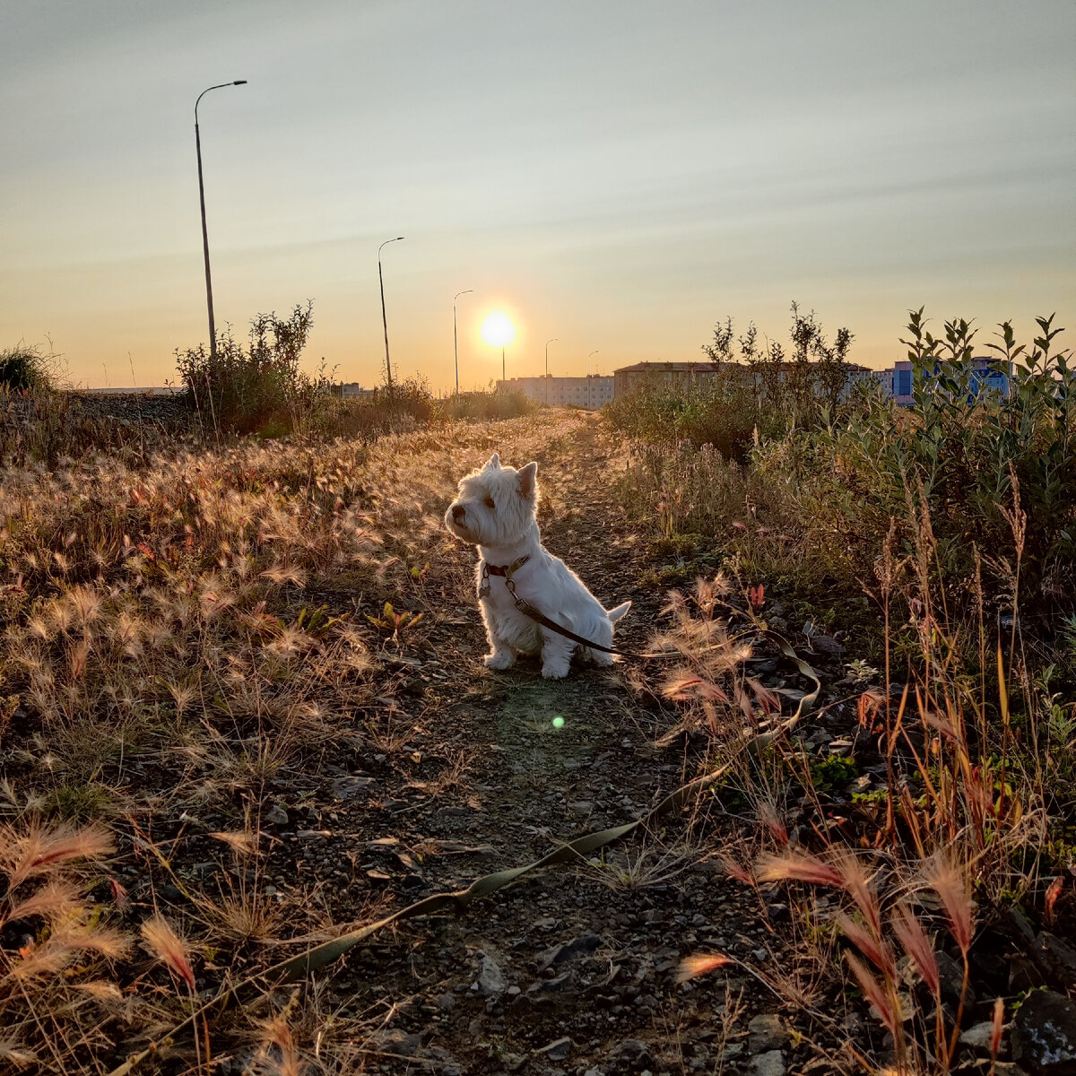 Август 2023 Чукотский АО