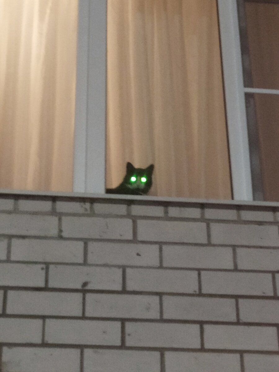 фото Виктора Гаврикова