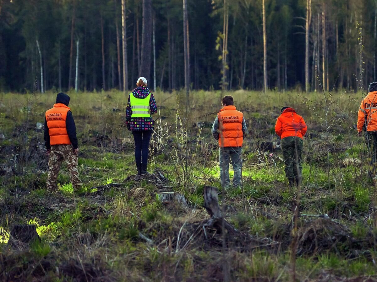    Поиск пропавших в лесной полосе© Пресс-служба поисково-спасательного отряда "ЛизаАлерт"