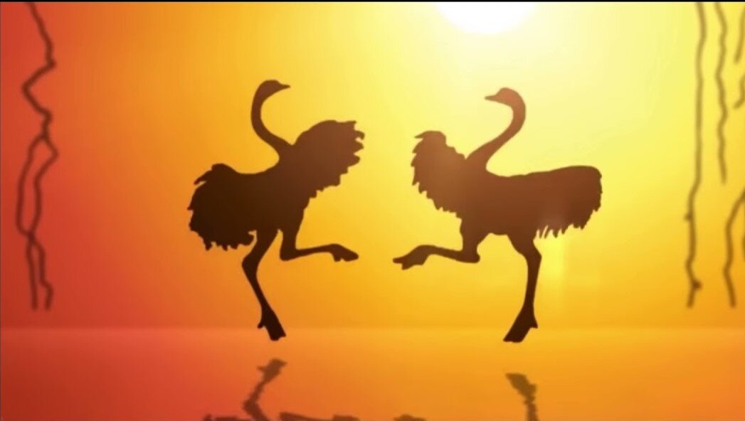 Фрагмент заставки передачи "В мире животных"