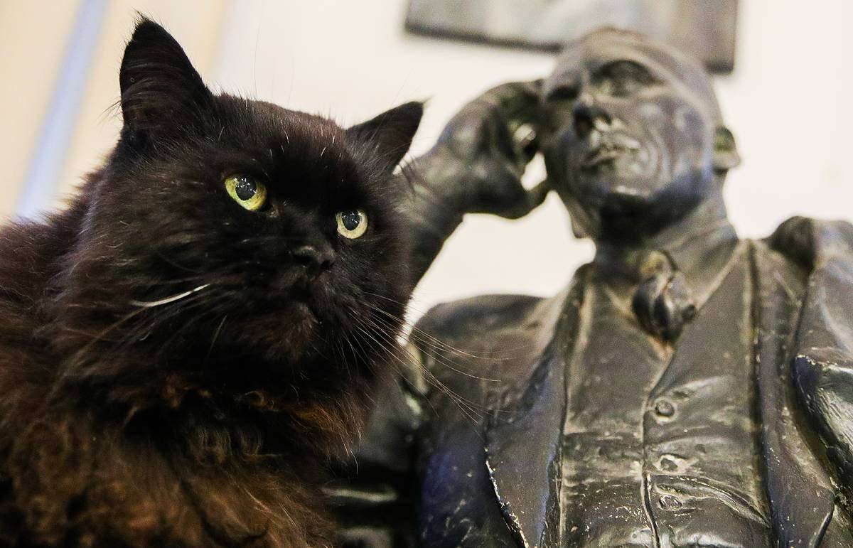 Изображение из открытых источников