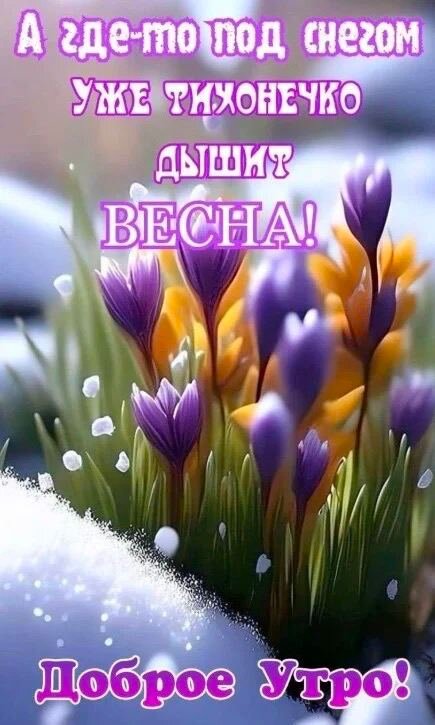 Иллюстрация из открытых источников. 